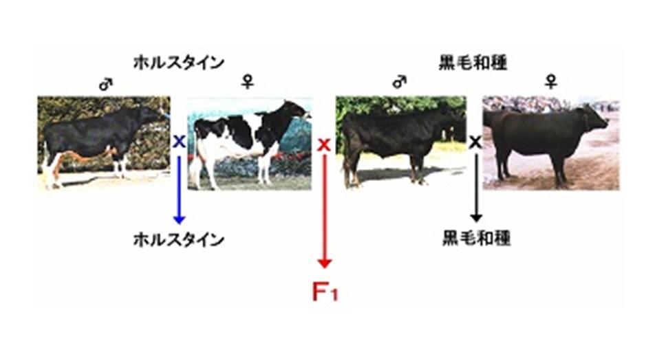 学校生活 南稜now New 熊本県立南稜高等学校