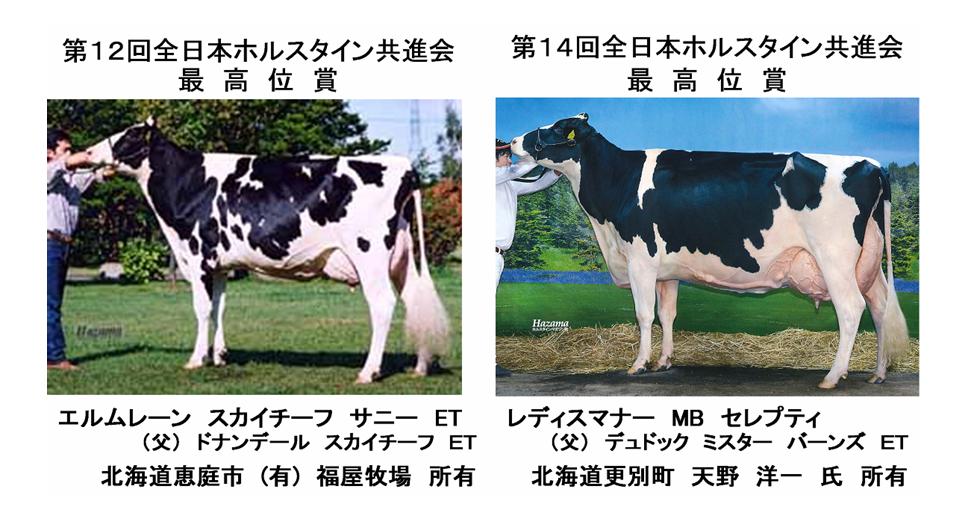 ホルスタイン共進会 ｂｗショー の種類について 酪農後継者のためのdairy Guide