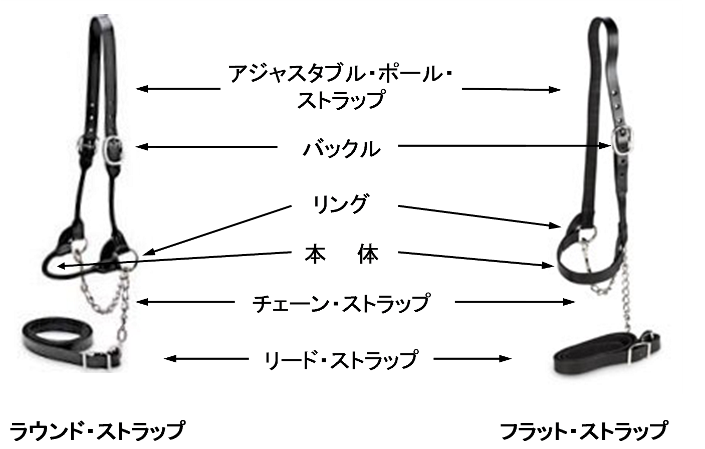 ホルスタイン共進会 ｂｗショー の命綱である頭絡 ストラップ 部品の説明 酪農後継者のためのdairy Guide