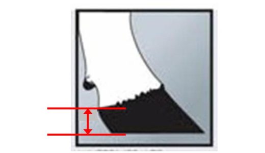 運動機能と肢の耐久性に関係する 『蹄踵（ていしょう）の厚さ』
